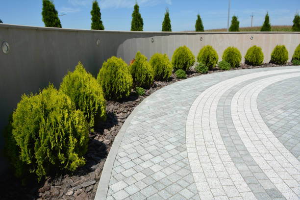 Best Driveway Pavers Near Me  in Sisseton, SD